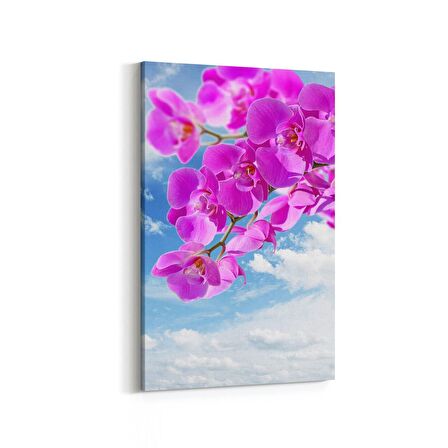 Olla 11713D Orkide Çiçek Görseli Dikey Kanvas Tablo (Ölçü: 100X150)