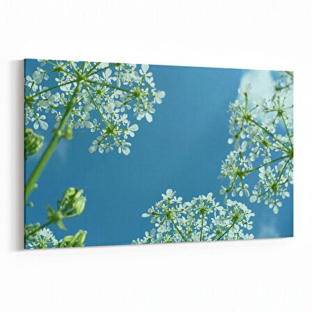 Olla 10696Y Ağaç Görseli Yatay Kanvas Tablo (Ölçü: 90X60)