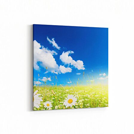 Olla 13733K Doğa / Manzara Görseli Kare Kanvas Tablo (Ölçü: 25X25)
