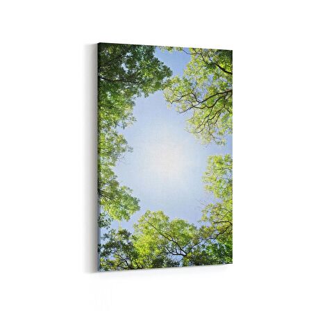 Olla 10702D Ağaç Görseli Dikey Kanvas Tablo (Ölçü: 70X105)