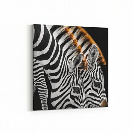 Olla 12553K Hayvanlar Alemi Görseli Kare Kanvas Tablo (Ölçü: 60X60)