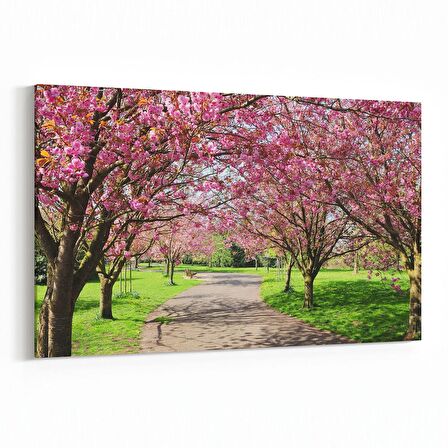 Olla 13550Y Doğa / Manzara Görseli Yatay Kanvas Tablo (Ölçü: 70X50)