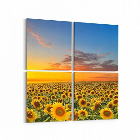 Olla 15972K4 Günbatımı Görseli Kare 4'lü Kanvas Tablo (Ölçü: 105X105)