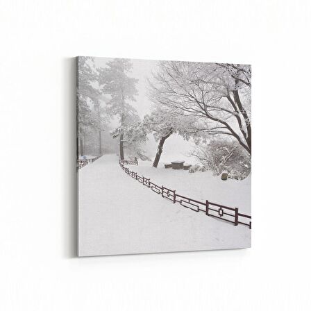 Olla 13257K Doğa / Manzara Görseli Kare Kanvas Tablo (Ölçü: 25X25)