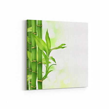 Olla 17078K Spa / Masaj Görseli Kare Kanvas Tablo (Ölçü: 30X30)