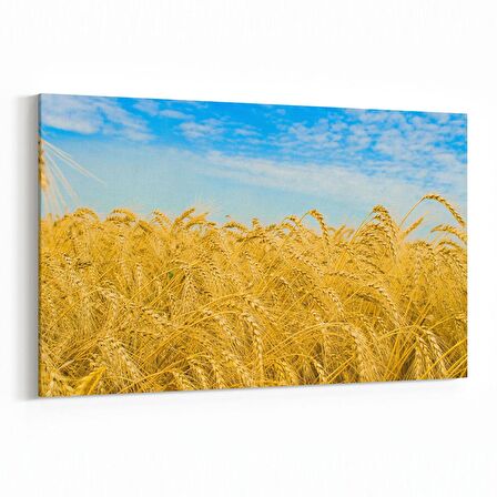 Olla 13799Y Doğa / Manzara Görseli Yatay Kanvas Tablo (Ölçü: 45X30)