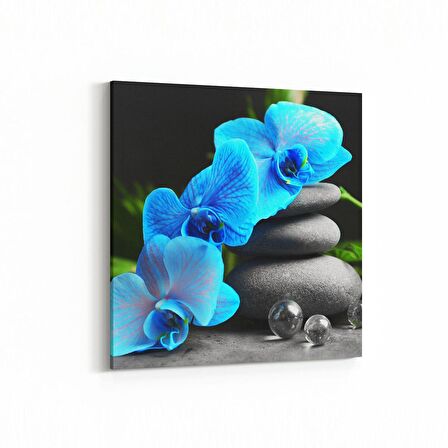 Olla 17081K Spa / Masaj Görseli Kare Kanvas Tablo (Ölçü: 25X25)