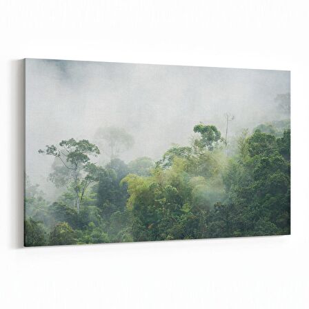 Olla 14086Y Doğa / Manzara Görseli Yatay Kanvas Tablo (Ölçü: 150X100)