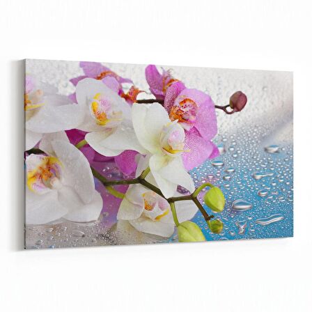Olla 11663Y Orkide Çiçek Görseli Yatay Kanvas Tablo (Ölçü: 90X60)