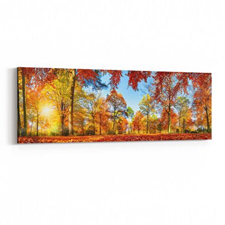 Olla 14116YI Doğa / Manzara Görseli Yatay İnce Kanvas Tablo (Ölçü: 90X30)