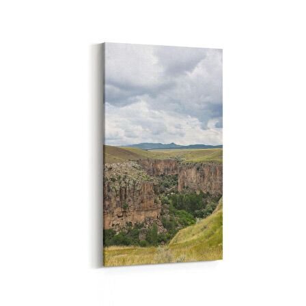 Olla 14103DD Doğa / Manzara Görseli Dikey Dar Kanvas Tablo (Ölçü: 30X60)