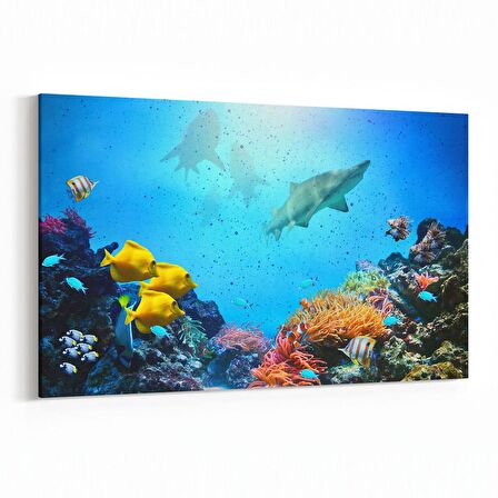 Olla 12089Y Akvaryum / Balık Görseli Yatay Kanvas Tablo (Ölçü: 45X30)