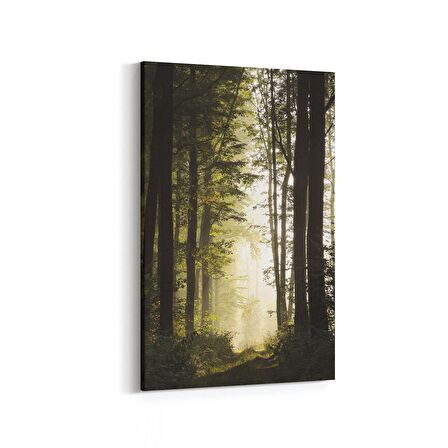 Olla 14281D Doğa / Manzara Görseli Dikey Kanvas Tablo (Ölçü: 100X150)