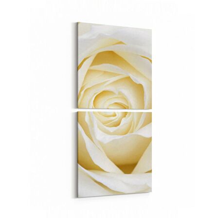 Olla 11638K2D Çiçek Görseli Kare 2'li Dikey Kanvas Tablo (Ölçü: 30X65)