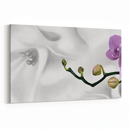 Olla 11673Y Orkide Çiçek Görseli Yatay Kanvas Tablo (Ölçü: 150X100)