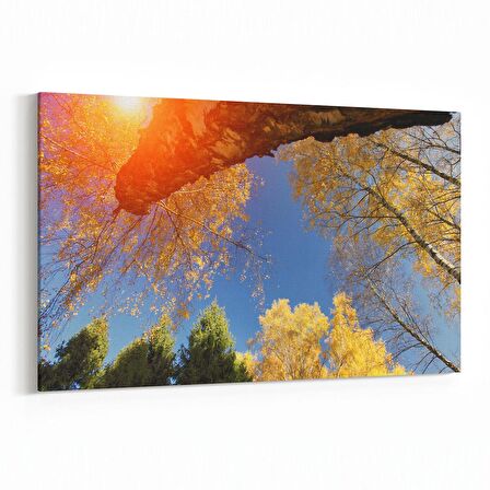 Olla 10706Y Ağaç Görseli Yatay Kanvas Tablo (Ölçü: 150X100)