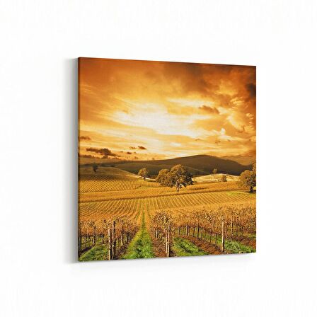 Olla 15960K Günbatımı Görseli Kare Kanvas Tablo (Ölçü: 25X25)