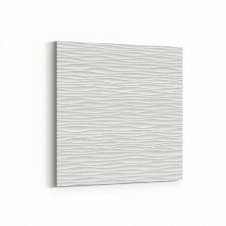 Olla 10452K Beyaz Kabartma Görseli Kare Kanvas Tablo (Ölçü: 25X25)