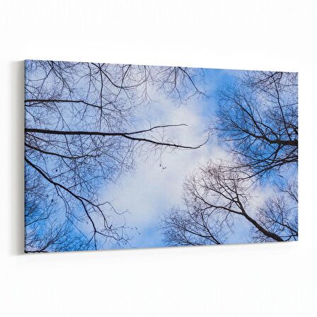 Olla 10562Y Ağaç Görseli Yatay Kanvas Tablo (Ölçü: 30X20)