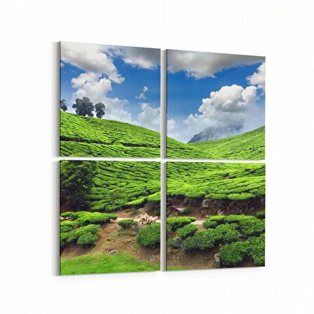 Olla 14545K4 Doğa / Manzara Görseli Kare 4'lü Kanvas Tablo (Ölçü: 145X145)