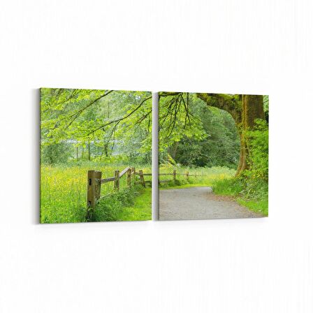 Olla 13448K2Y Doğa / Manzara Görseli Kare 2'li Yatay Kanvas Tablo (Ölçü: 145X70)
