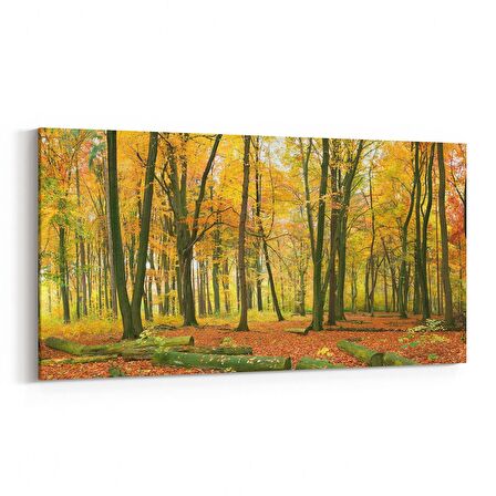 Olla 14354YD Doğa / Manzara Görseli Yatay Dar Kanvas Tablo (Ölçü: 60X30)