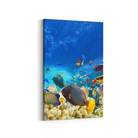 Olla 12128D Akvaryum / Balık Görseli Dikey Kanvas Tablo (Ölçü: 100X150)