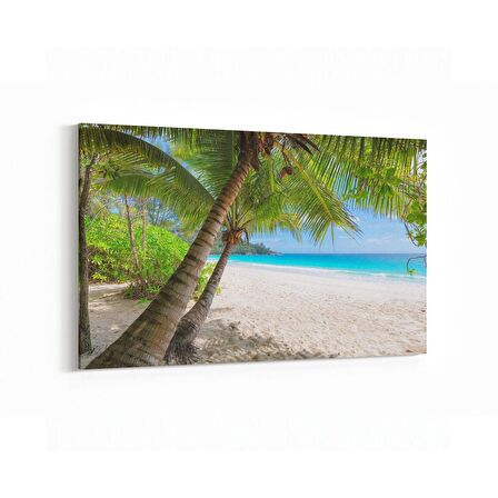 Olla 16537Y Kumsal / Sahil Görseli Yatay Kanvas Tablo (Ölçü: 150X100)