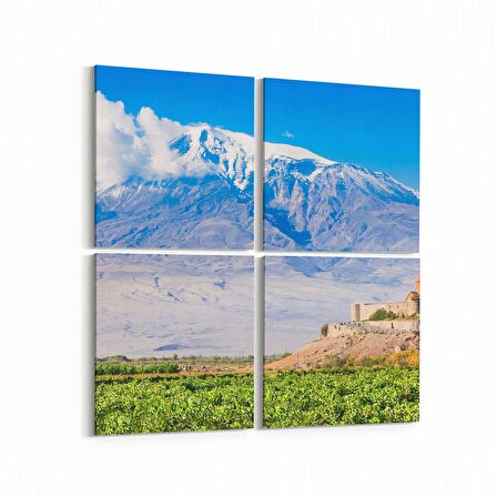 Olla 13989K4 Doğa / Manzara Görseli Kare 4'lü Kanvas Tablo (Ölçü: 65X65)