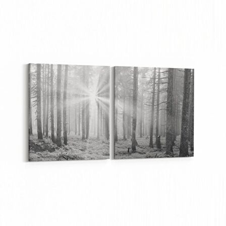 Olla 13760K2Y Doğa / Manzara Görseli Kare 2'li Yatay Kanvas Tablo (Ölçü: 105X50)