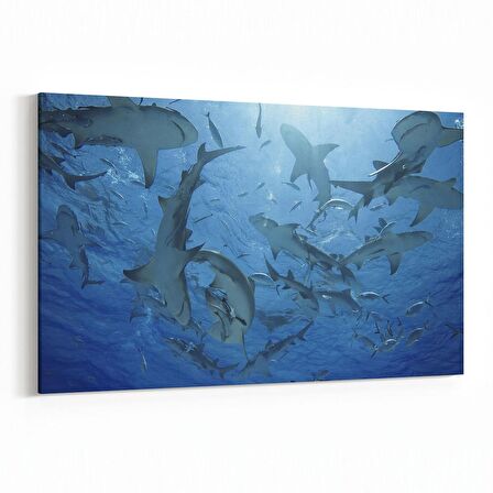 Olla 12936Y Deniz / Okyanus Görseli Yatay Kanvas Tablo (Ölçü: 30X20)