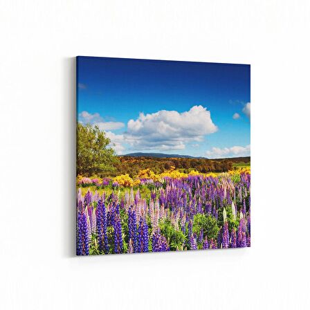 Olla 13787K Doğa / Manzara Görseli Kare Kanvas Tablo (Ölçü: 25X25)