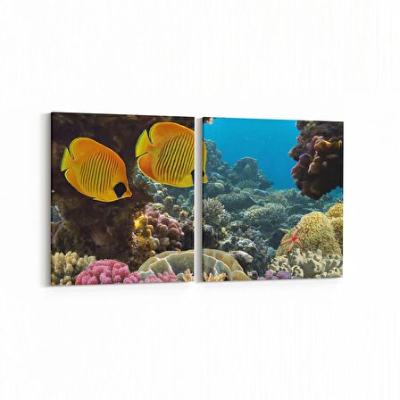 Olla 12117K2Y Akvaryum / Balık Görseli Kare 2'li Yatay Kanvas Tablo (Ölçü: 125X60)