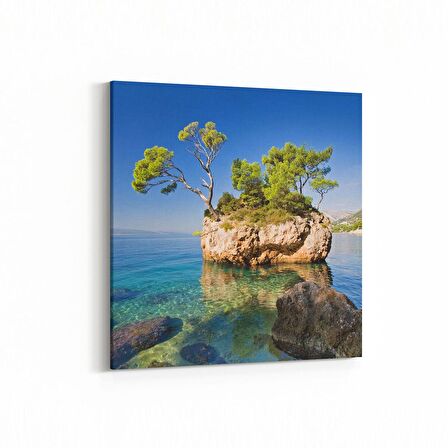Olla 14581K Doğa / Manzara Görseli Kare Kanvas Tablo (Ölçü: 60X60)