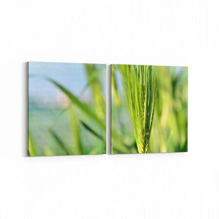 Olla 14299K2Y Doğa / Manzara Görseli Kare 2'li Yatay Kanvas Tablo (Ölçü: 85X40)
