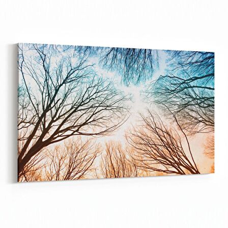 Olla 10979Y Ağaç Görseli Yatay Kanvas Tablo (Ölçü: 90X60)