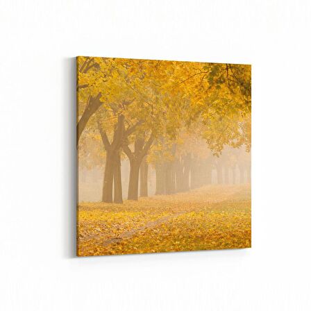 Olla 13307K Doğa / Manzara Görseli Kare Kanvas Tablo (Ölçü: 25X25)