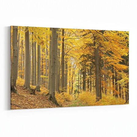 Olla 14599Y Doğa / Manzara Görseli Yatay Kanvas Tablo (Ölçü: 120X80)