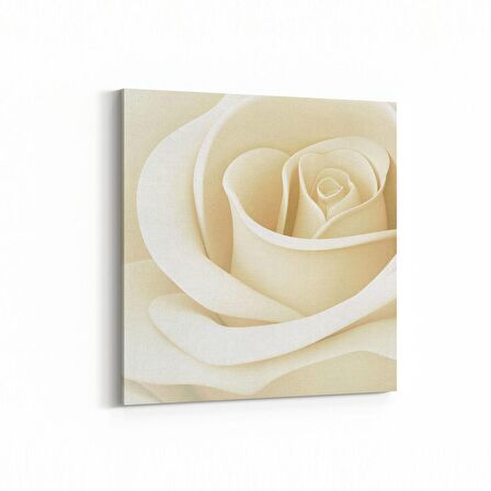 Olla 11643K Çiçek Görseli Kare Kanvas Tablo (Ölçü: 100X100)