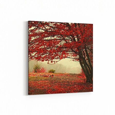 Olla 13338K Doğa / Manzara Görseli Kare Kanvas Tablo (Ölçü: 25X25)