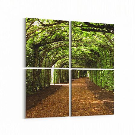 Olla 14625K4 Doğa / Manzara Görseli Kare 4'lü Kanvas Tablo (Ölçü: 65X65)