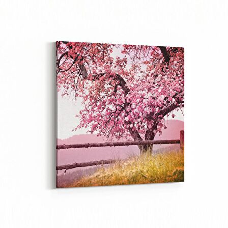 Olla 13622K Doğa / Manzara Görseli Kare Kanvas Tablo (Ölçü: 40X40)