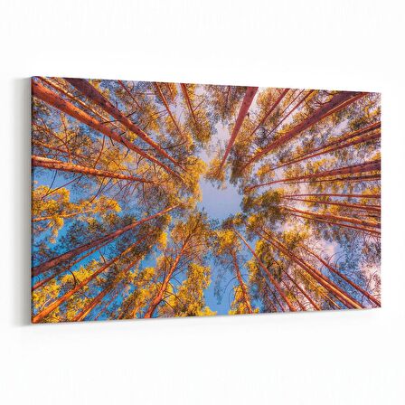 Olla 10869Y Ağaç Görseli Yatay Kanvas Tablo (Ölçü: 150X100)