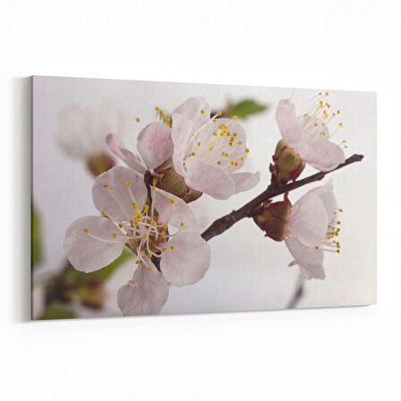 Olla 10854Y Ağaç Görseli Yatay Kanvas Tablo (Ölçü: 45X30)