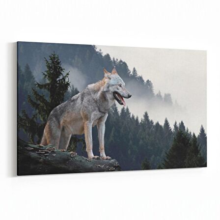 Olla 12675Y Hayvanlar Alemi Görseli Yatay Kanvas Tablo (Ölçü: 150X100)