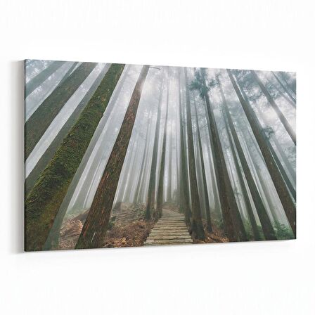 Olla 13461Y Doğa / Manzara Görseli Yatay Kanvas Tablo (Ölçü: 90X60)