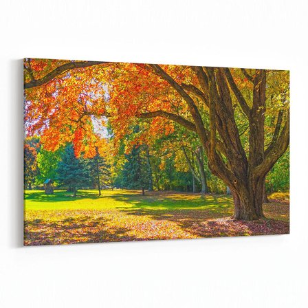 Olla 13980Y Doğa / Manzara Görseli Yatay Kanvas Tablo (Ölçü: 30X20)