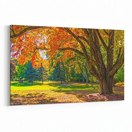 Olla 13980Y Doğa / Manzara Görseli Yatay Kanvas Tablo (Ölçü: 70X50)