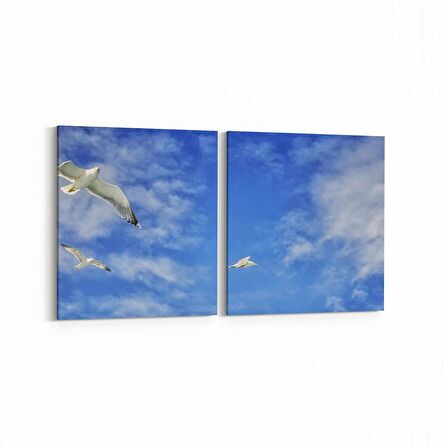 Olla 15890K2Y Gökyüzü Kuşlar Görseli Kare 2'li Yatay Kanvas Tablo (Ölçü: 145X70)