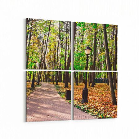 Olla 13549K4 Doğa / Manzara Görseli Kare 4'lü Kanvas Tablo (Ölçü: 105X105)